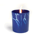 Biscay - Heat Reactive Scented Soy Wax Candles